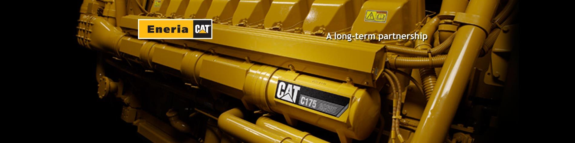 As Caterpillar's exclusive dealer in France and in several other countries, we provide sales, service and maintenance of generator sets, UPS and motors. 