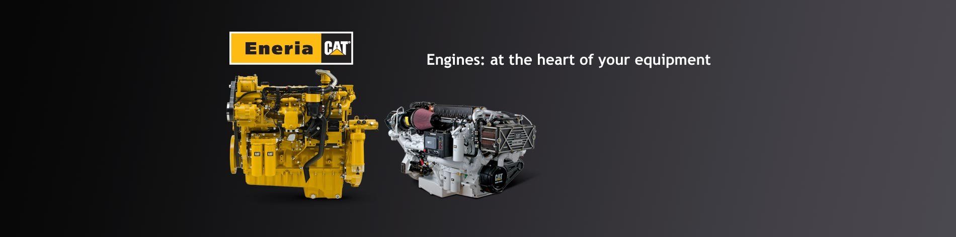 We conduct studies on the best ways to install and adapt Caterpillar engines designed for a wide range of applications in industry, rail transportation, agriculture, oil & gas exploration and development and marine engines.