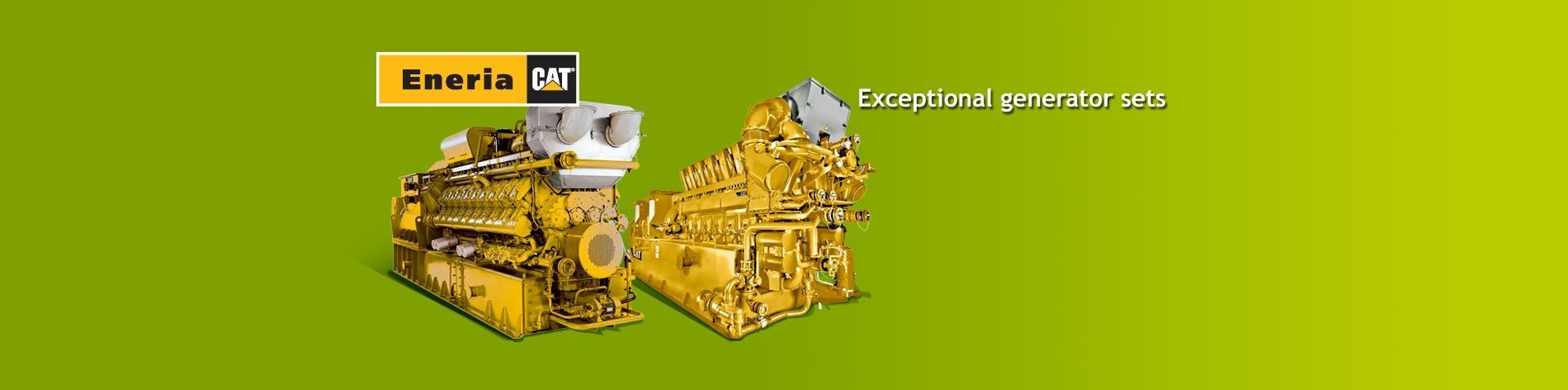 We offer a complete line of gas generator sets adapted for any type of gas with outputs from 130 kWe to 4,300 kWe.