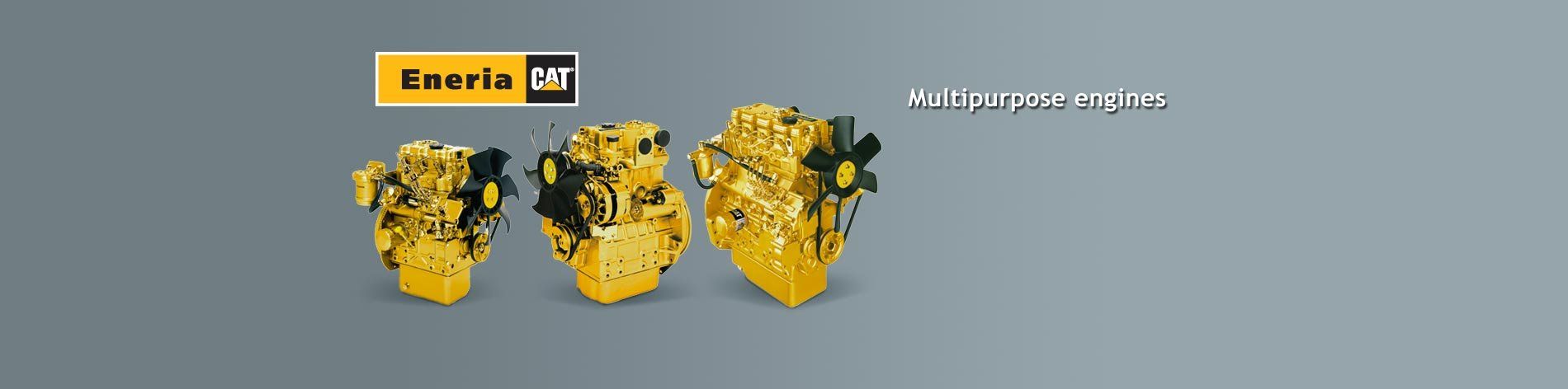 We offer you the complete line of Caterpillar diesel engines in many different versions.